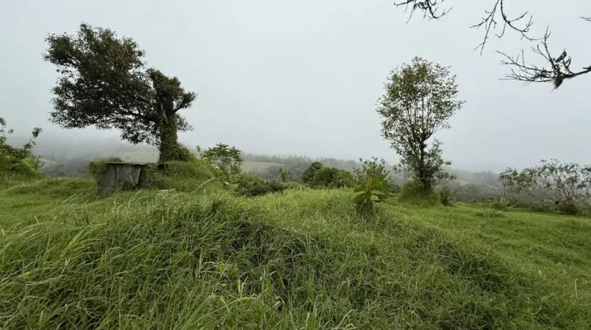 Lot for Sale with the Macho River Running Through the Property, photo 12