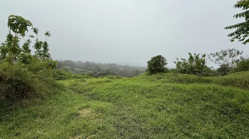 Lot for Sale with the Macho River Running Through the Property, photo 13