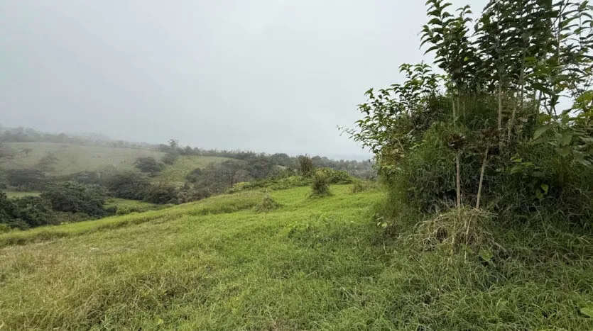 Lot for Sale with the Macho River Running Through the Property, photo 16