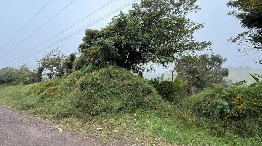 Lot for Sale with the Macho River Running Through the Property, photo 6