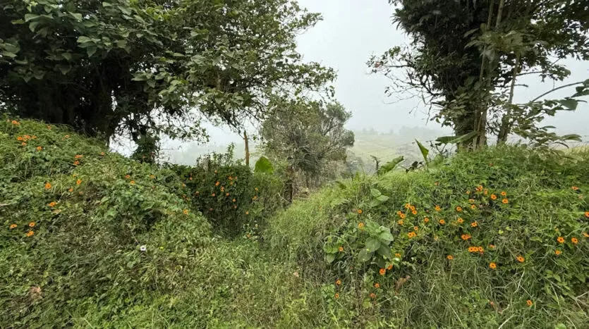 Lot for Sale with the Macho River Running Through the Property, photo 7