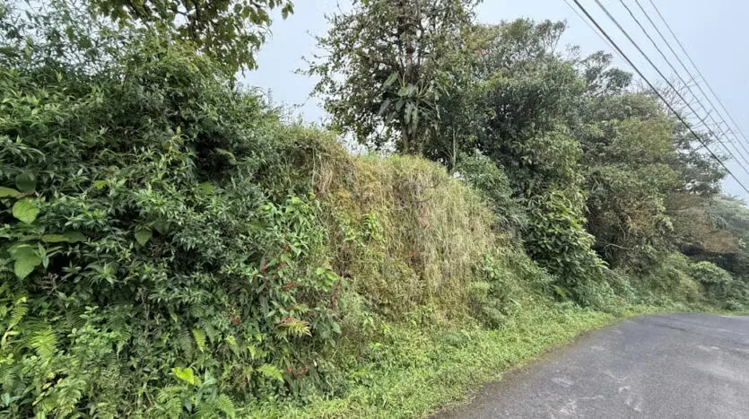 Lot for Sale with the Macho River Running Through the Property, photo 8