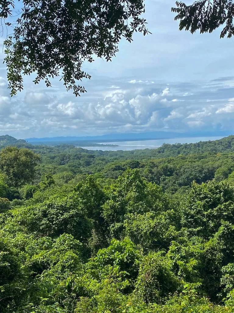 7.7 ACRE LOT WITH OCEAN AND MOUNTAIN VIEWS, photo 2