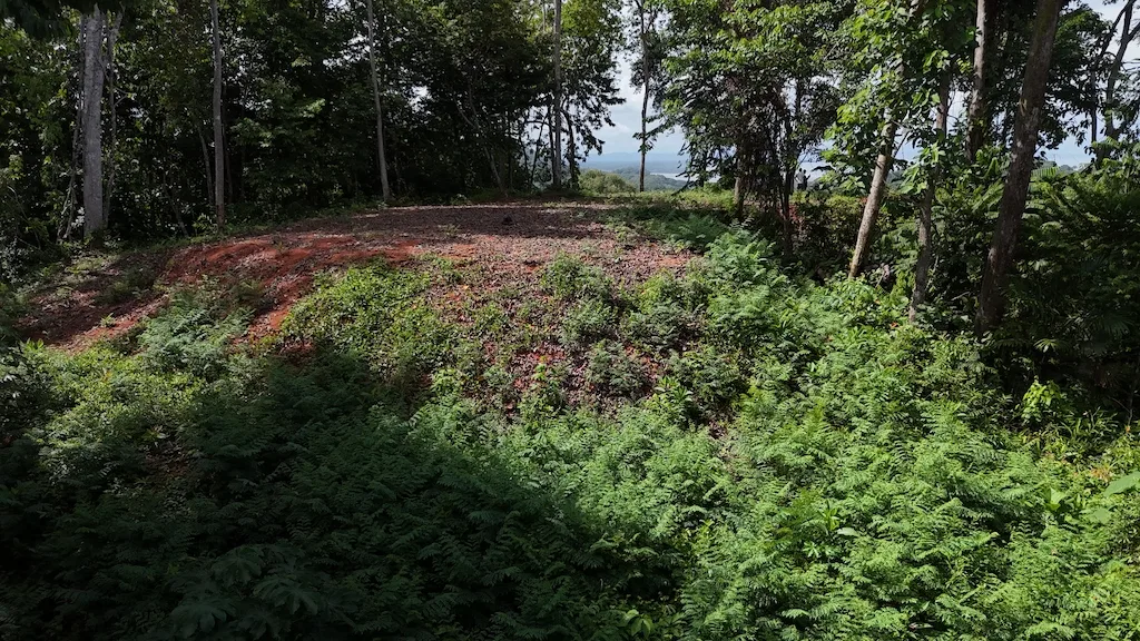 7.7 ACRE LOT WITH OCEAN AND MOUNTAIN VIEWS, photo 11