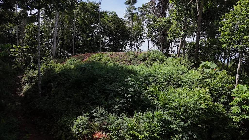 7.7 ACRE LOT WITH OCEAN AND MOUNTAIN VIEWS, photo 12