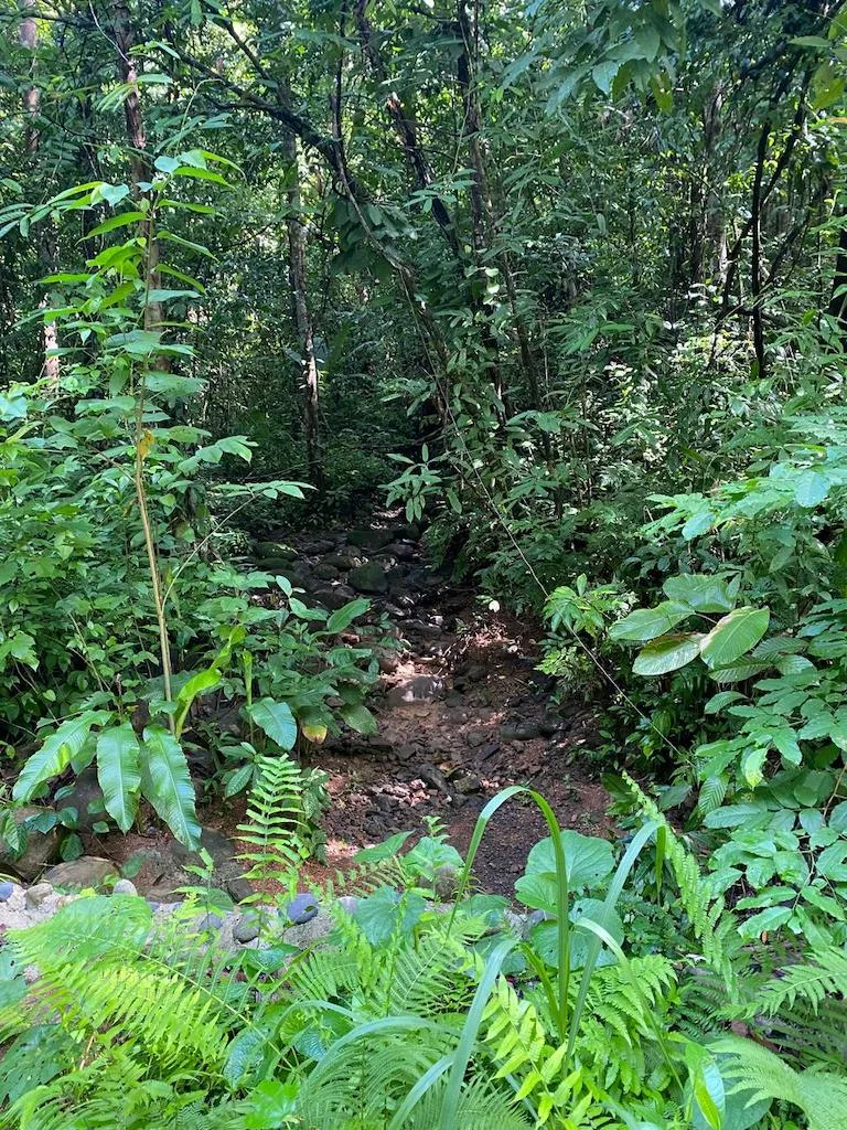 7.7 ACRE LOT WITH OCEAN AND MOUNTAIN VIEWS, photo 16