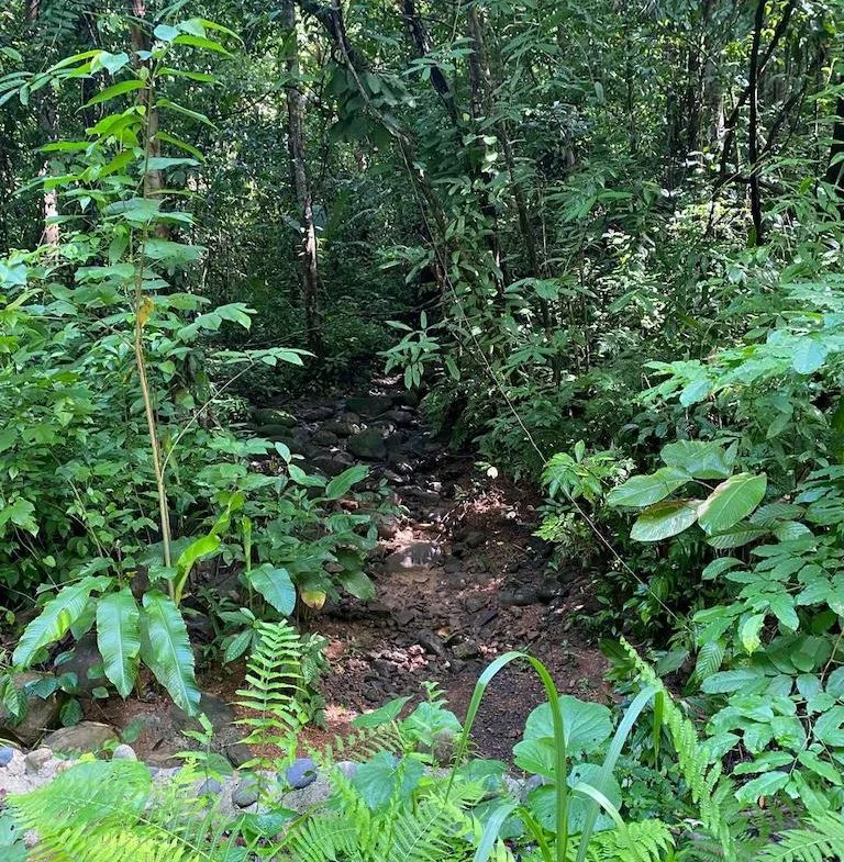 7.7 ACRE LOT WITH OCEAN AND MOUNTAIN VIEWS, photo 17