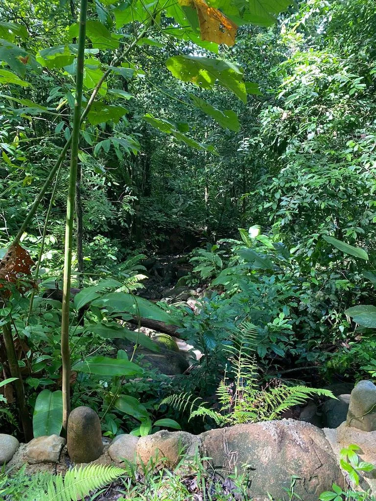 7.7 ACRE LOT WITH OCEAN AND MOUNTAIN VIEWS, photo 18
