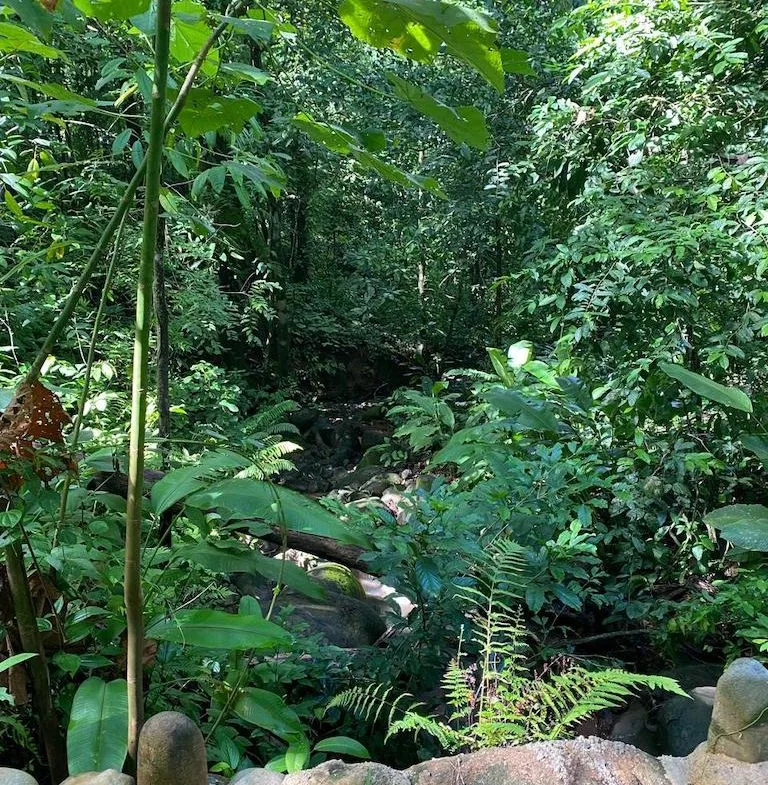 7.7 ACRE LOT WITH OCEAN AND MOUNTAIN VIEWS, photo 19