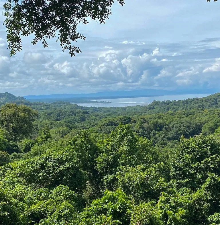 7.7 ACRE LOT WITH OCEAN AND MOUNTAIN VIEWS, photo 3