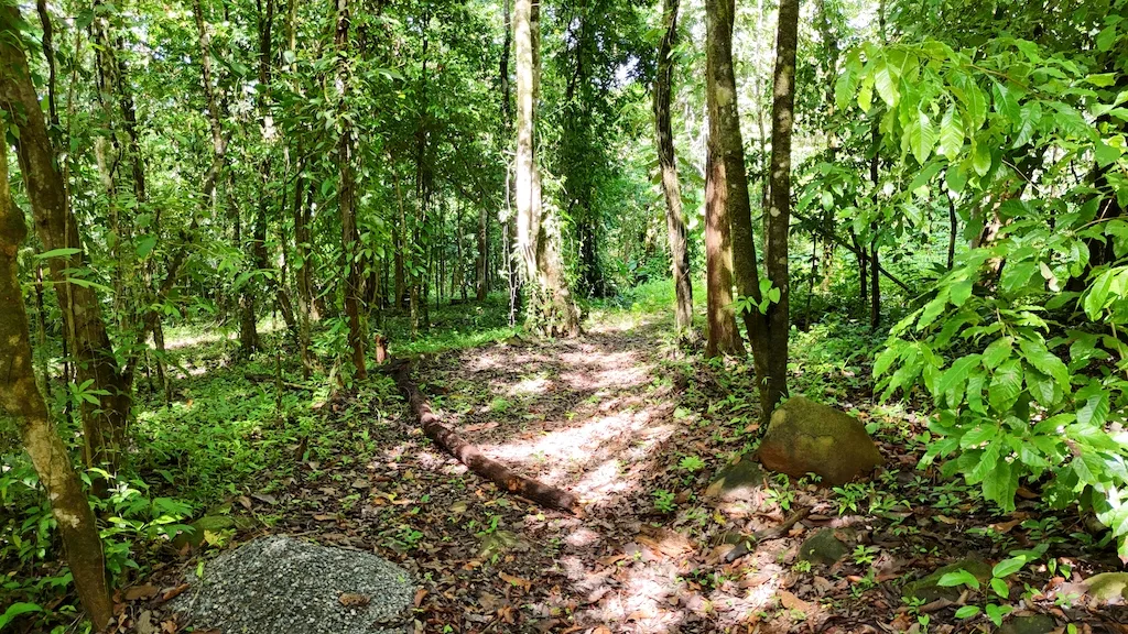 7.7 ACRE LOT WITH OCEAN AND MOUNTAIN VIEWS, photo 22