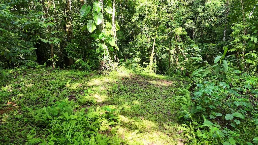 7.7 ACRE LOT WITH OCEAN AND MOUNTAIN VIEWS, photo 23