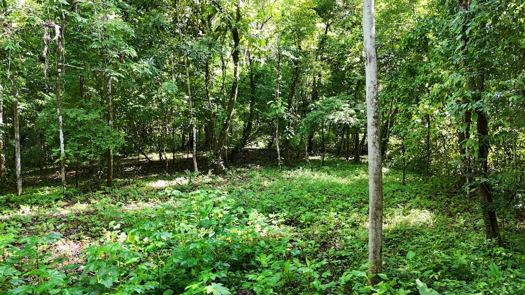 7.7 ACRE LOT WITH OCEAN AND MOUNTAIN VIEWS, photo 24