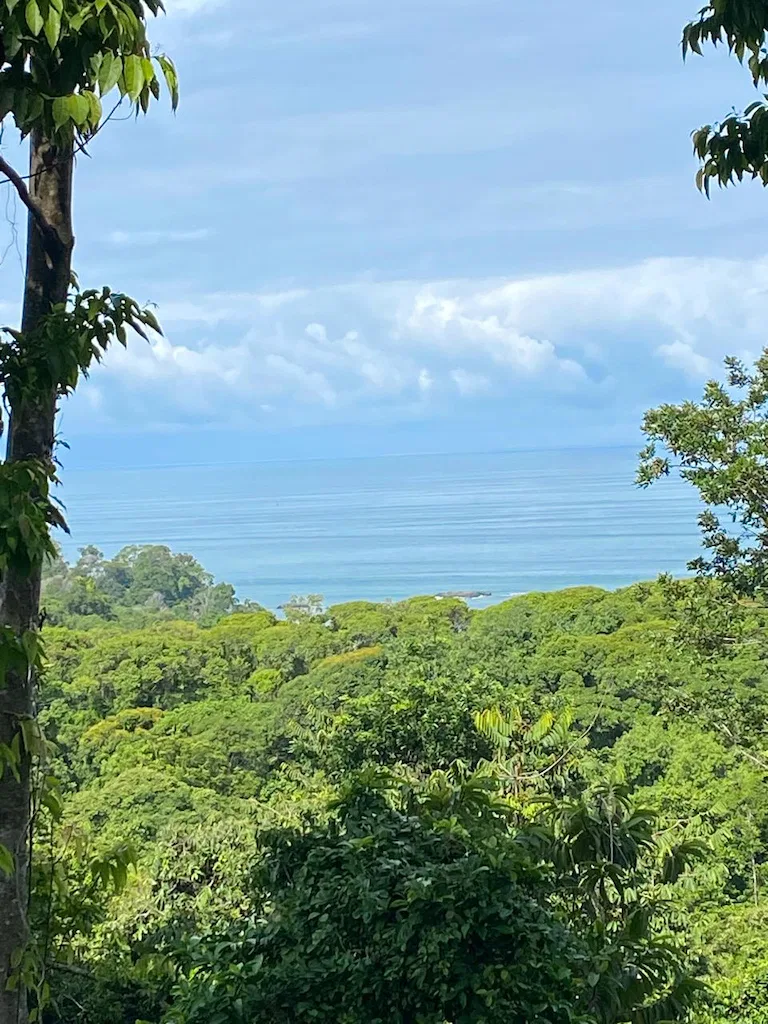 7.7 ACRE LOT WITH OCEAN AND MOUNTAIN VIEWS, photo 4