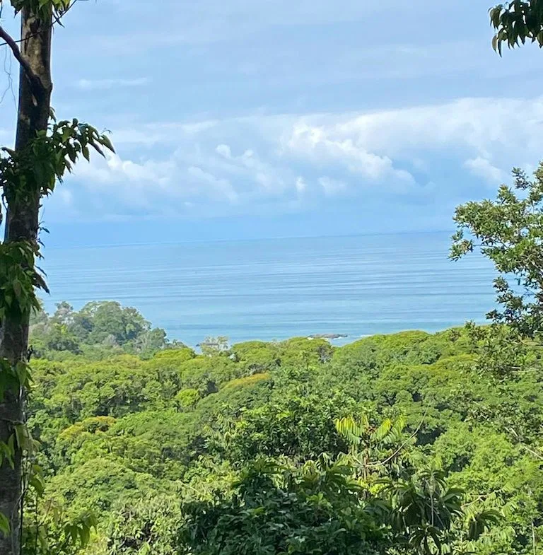 7.7 ACRE LOT WITH OCEAN AND MOUNTAIN VIEWS, photo 5