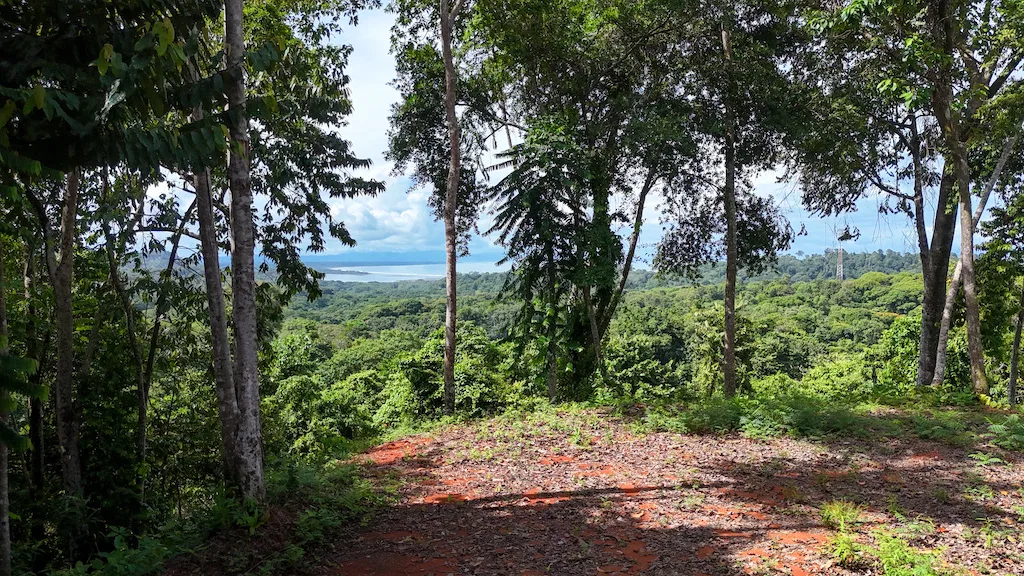 7.7 ACRE LOT WITH OCEAN AND MOUNTAIN VIEWS, photo 6
