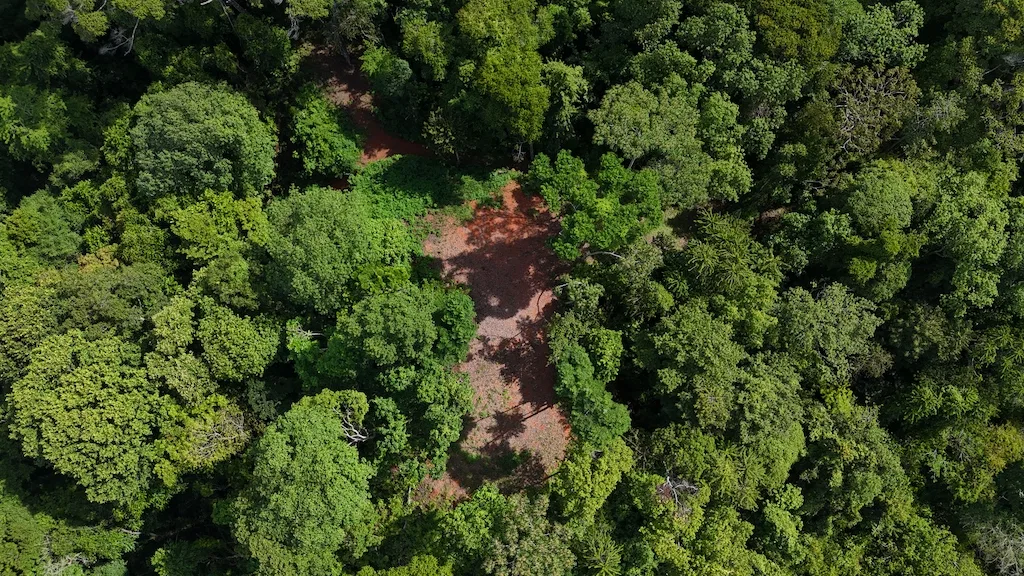 7.7 ACRE LOT WITH OCEAN AND MOUNTAIN VIEWS, photo 7