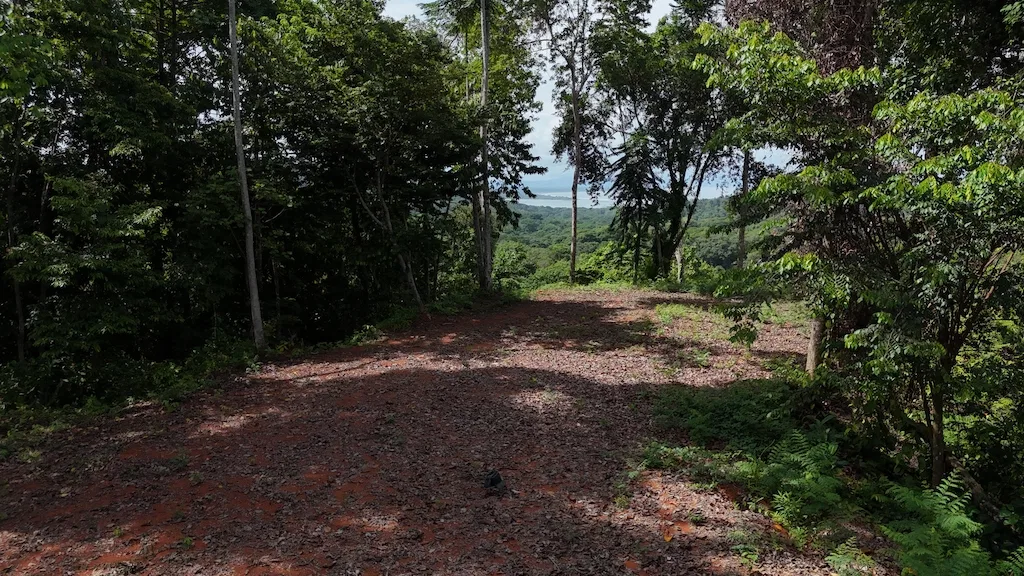 7.7 ACRE LOT WITH OCEAN AND MOUNTAIN VIEWS, photo 8