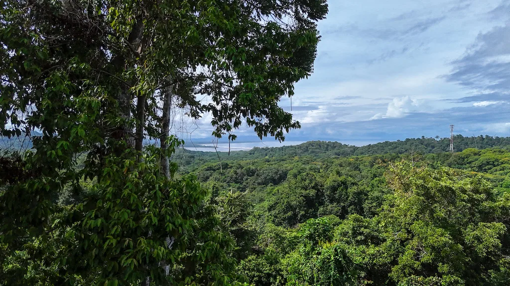 7.7 ACRE LOT WITH OCEAN AND MOUNTAIN VIEWS, photo 9