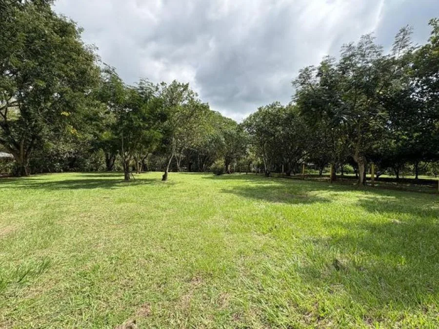 Venta de Lote en Orotina - Con Gran Potencial. RAH 26-1010 NR - Venta en Orotina