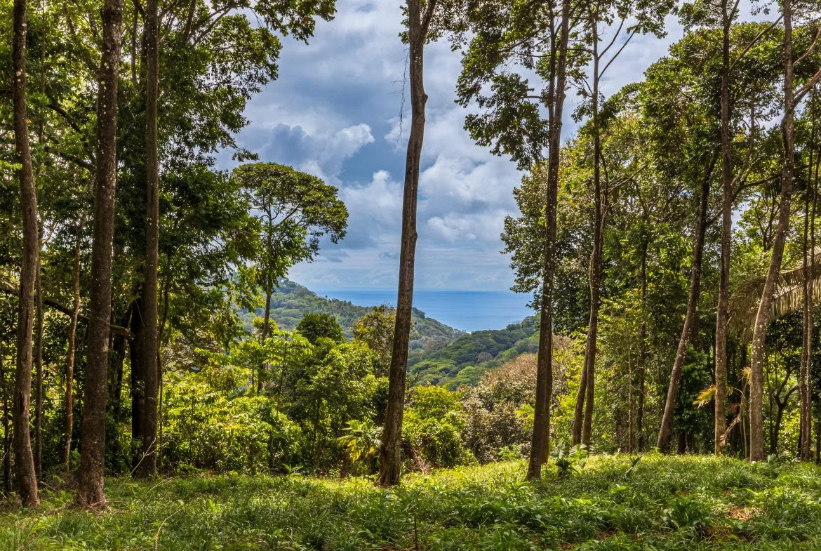 DEVELOPMENT PROPERTY WITH OCEAN VIEWS NEAR TO DOMINICAL – 86 ACRES, photo 2