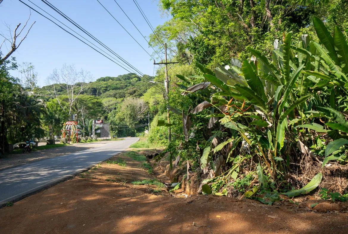 DEVELOPMENT PROPERTY WITH OCEAN VIEWS NEAR TO DOMINICAL – 86 ACRES, photo 12