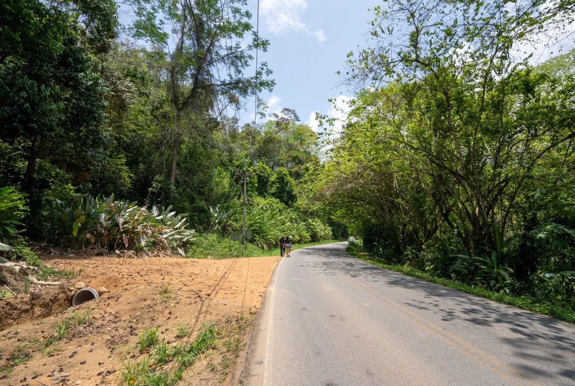 DEVELOPMENT PROPERTY WITH OCEAN VIEWS NEAR TO DOMINICAL – 86 ACRES, photo 14