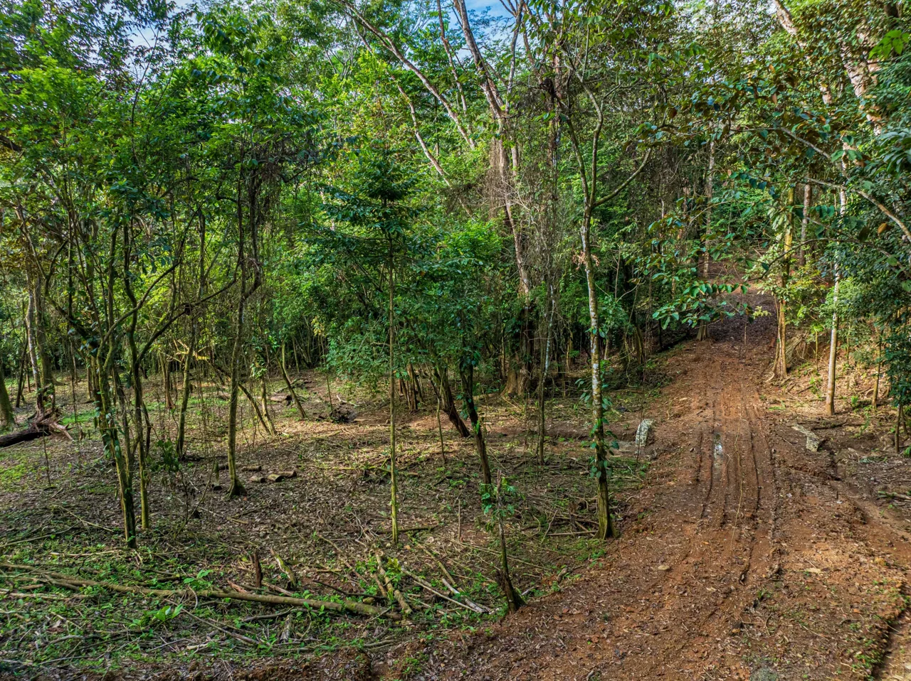 DEVELOPMENT PROPERTY WITH OCEAN VIEWS NEAR TO DOMINICAL – 86 ACRES, photo 15