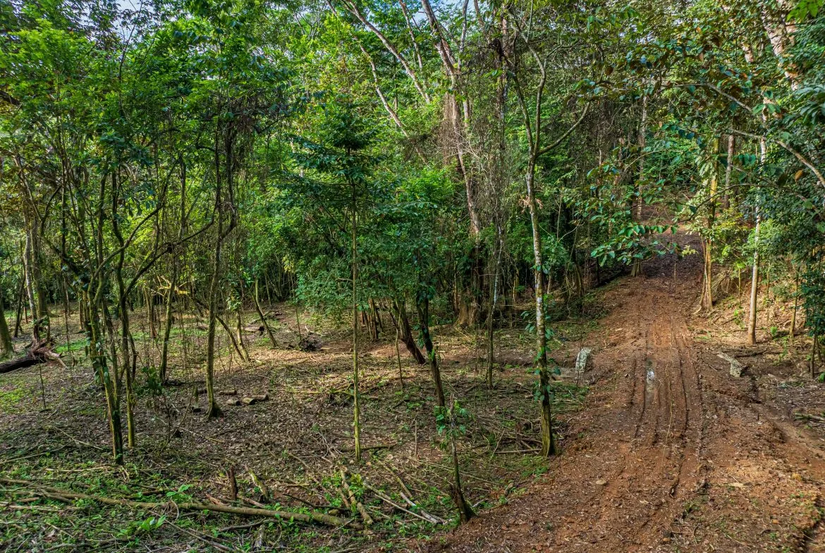 DEVELOPMENT PROPERTY WITH OCEAN VIEWS NEAR TO DOMINICAL – 86 ACRES, photo 16