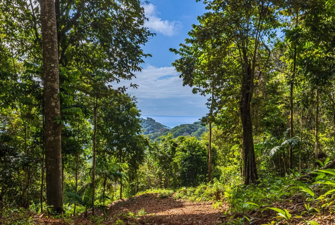 DEVELOPMENT PROPERTY WITH OCEAN VIEWS NEAR TO DOMINICAL – 86 ACRES, photo 20