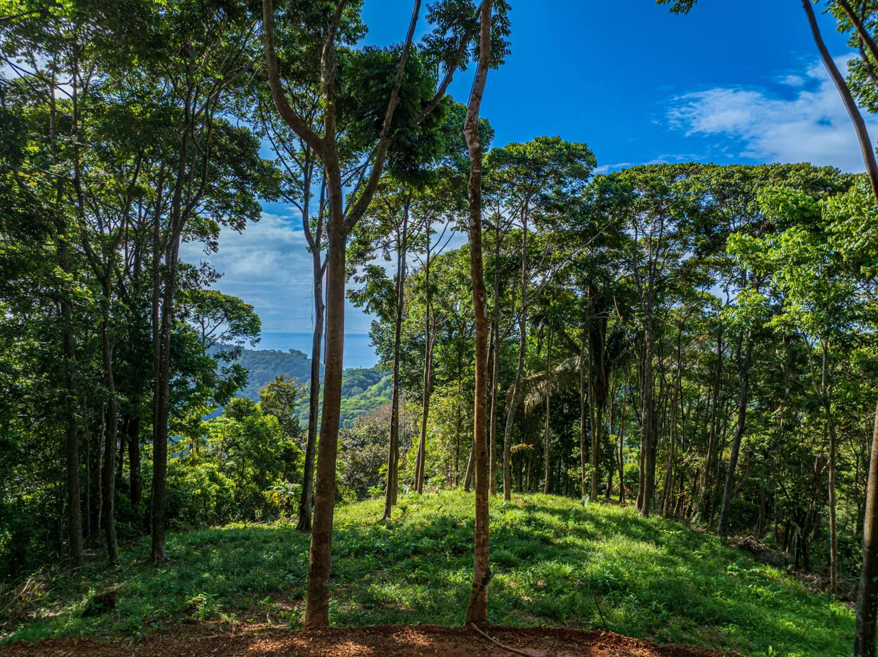 DEVELOPMENT PROPERTY WITH OCEAN VIEWS NEAR TO DOMINICAL – 86 ACRES, photo 23