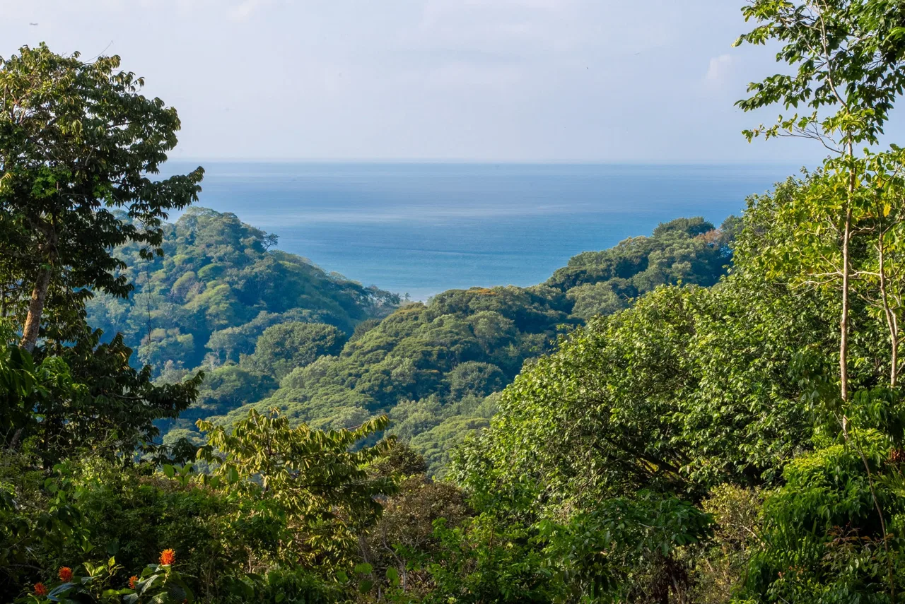 DEVELOPMENT PROPERTY WITH OCEAN VIEWS NEAR TO DOMINICAL – 86 ACRES, photo 9
