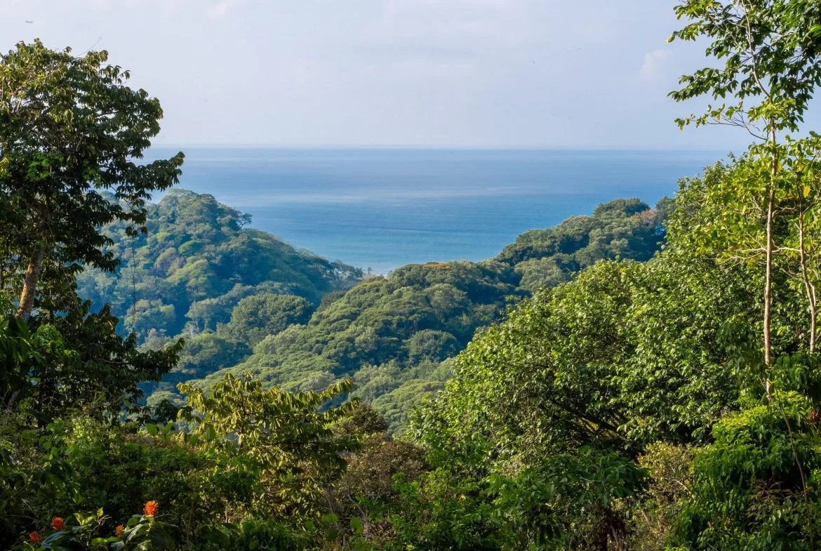 DEVELOPMENT PROPERTY WITH OCEAN VIEWS NEAR TO DOMINICAL – 86 ACRES, photo 10