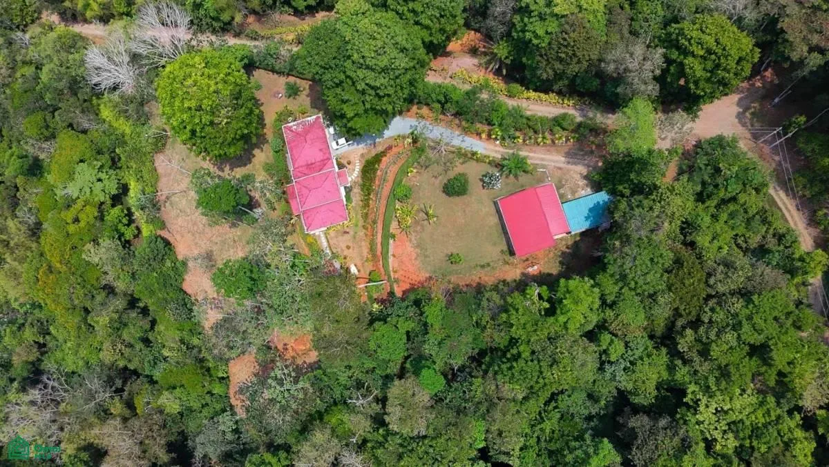 DOS casas en Baru en un espectacular y sereno entorno de jungla montañosa., photo 2