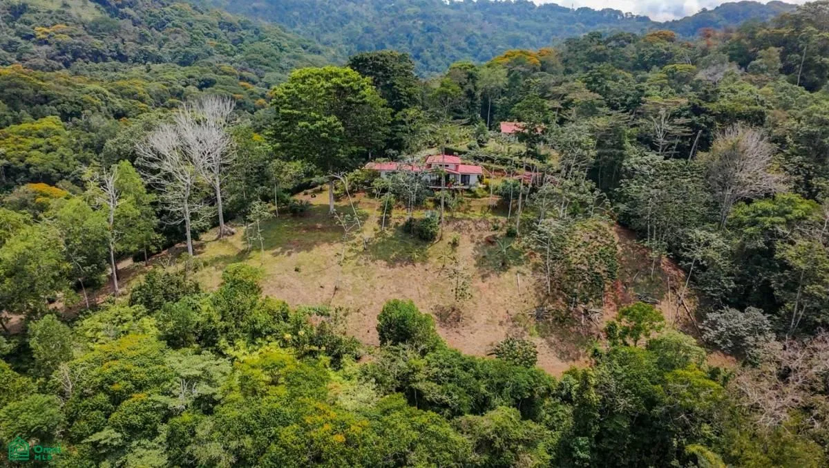 DOS casas en Baru en un espectacular y sereno entorno de jungla montañosa., photo 4