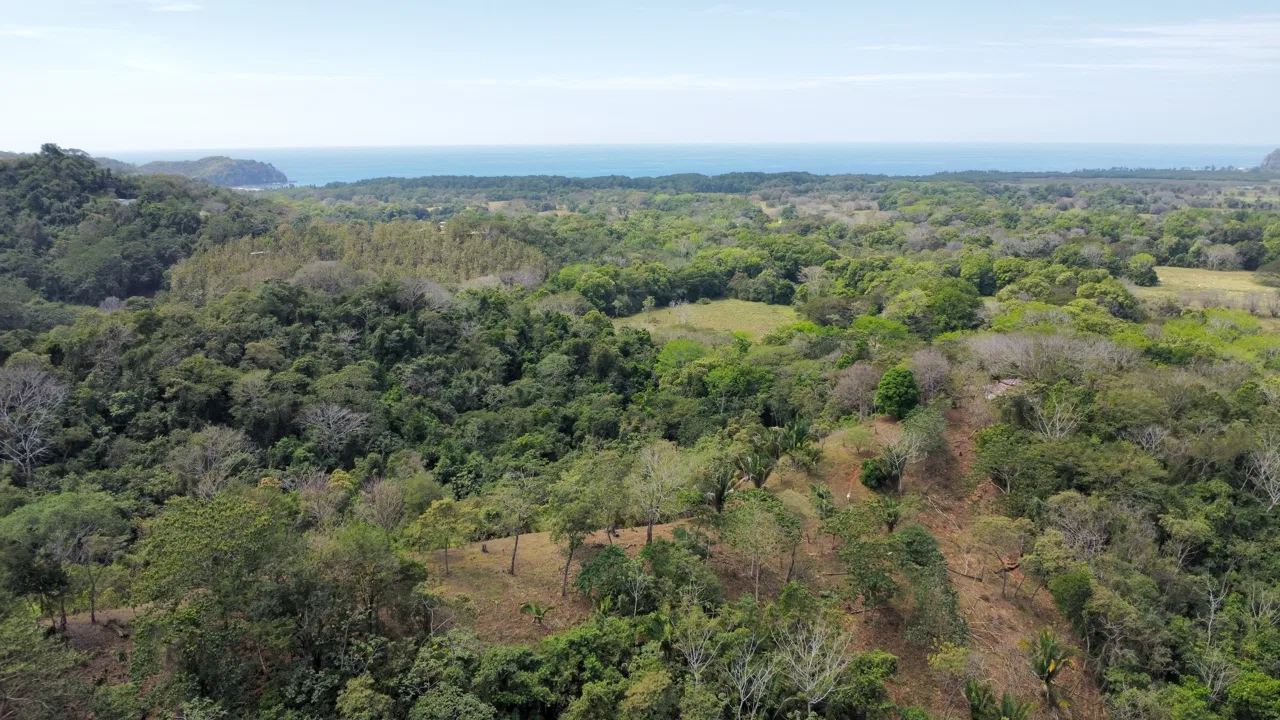 Finca Sierra Dorada -Great Ocean View Residential Development Opportunity