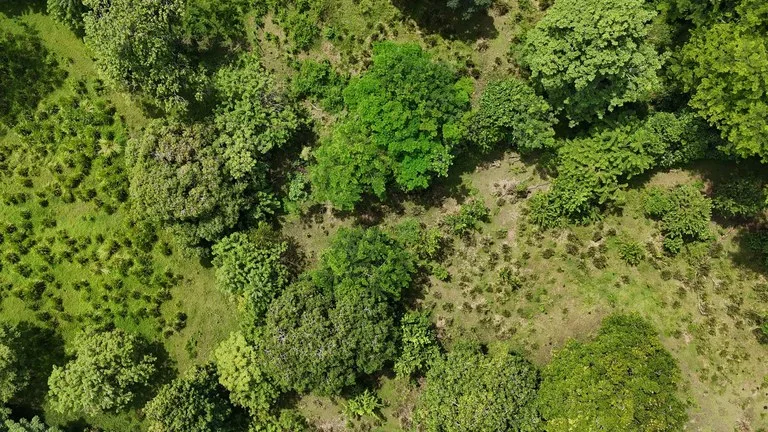 Walk to the beach, Developement Land, Mini Ranch, Central Uvita