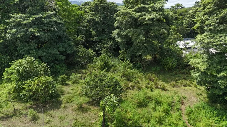 Walk to the beach, Developement Land, Mini Ranch, Central Uvita, photo 2