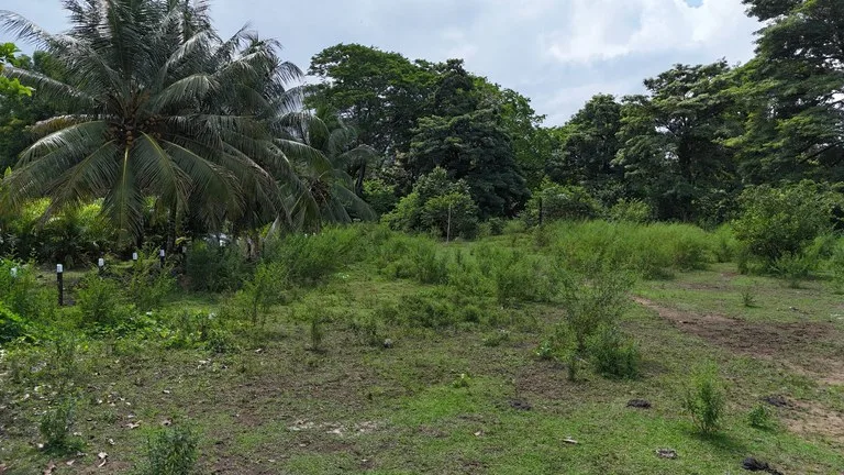 Walk to the beach, Developement Land, Mini Ranch, Central Uvita, photo 11