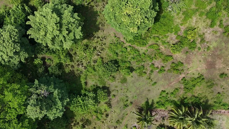 Walk to the beach, Developement Land, Mini Ranch, Central Uvita, photo 13