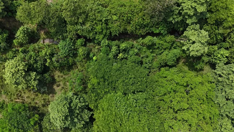 Walk to the beach, Developement Land, Mini Ranch, Central Uvita, photo 15