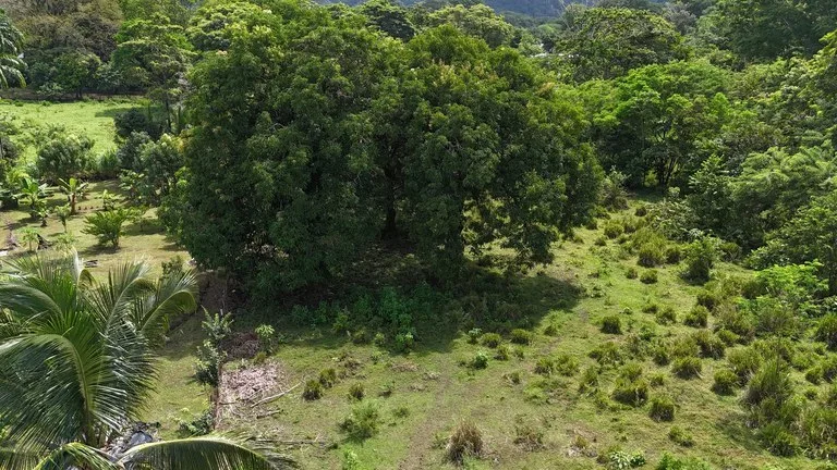 Walk to the beach, Developement Land, Mini Ranch, Central Uvita, photo 3