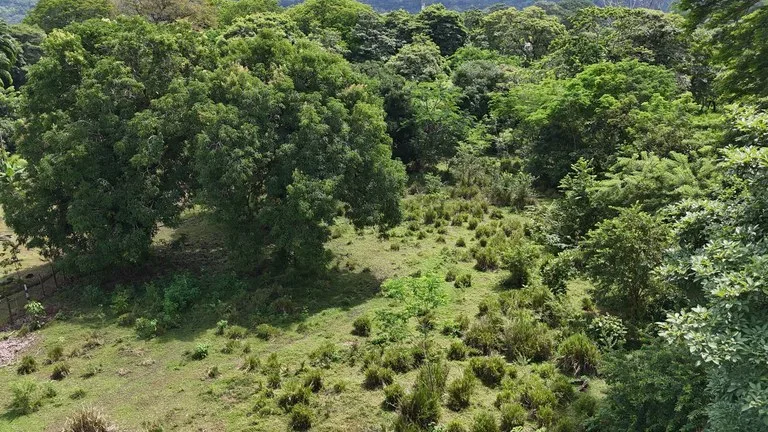Walk to the beach, Developement Land, Mini Ranch, Central Uvita, photo 4