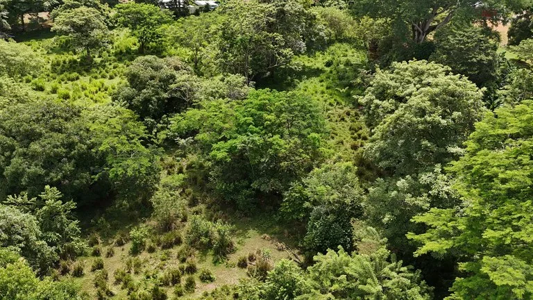 Walk to the beach, Developement Land, Mini Ranch, Central Uvita, photo 5