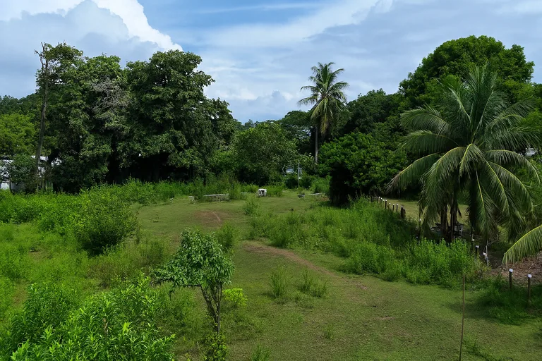 Walk to the beach, Developement Land, Mini Ranch, Central Uvita, photo 8