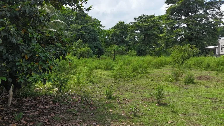 Walk to the beach, Developement Land, Mini Ranch, Central Uvita, photo 10