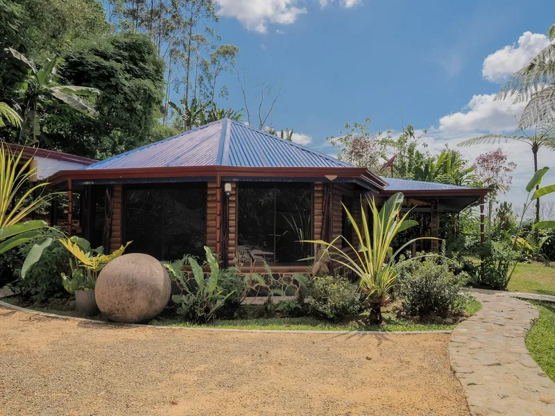 3 Bed Single Family Homes For Sale in Perez Zeledon, photo 6