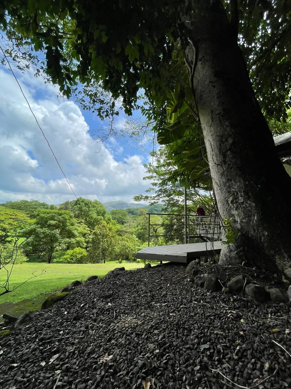 🌿 UNIQUE PROPERTY FOR SALE IN SAN PEDRO TURRUBARES 🌿, photo 14