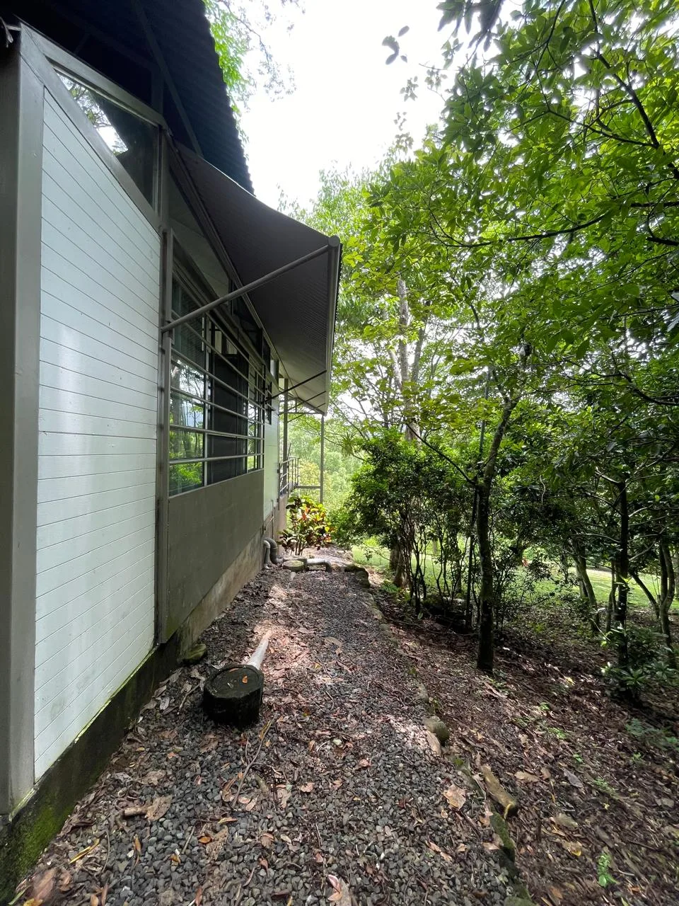 🌿 UNIQUE PROPERTY FOR SALE IN SAN PEDRO TURRUBARES 🌿, photo 9