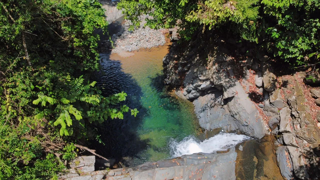 JUNGLE DREAMS FARM: WHERE NATURE MEETS SERENITY – 20 ACRES, photo 15